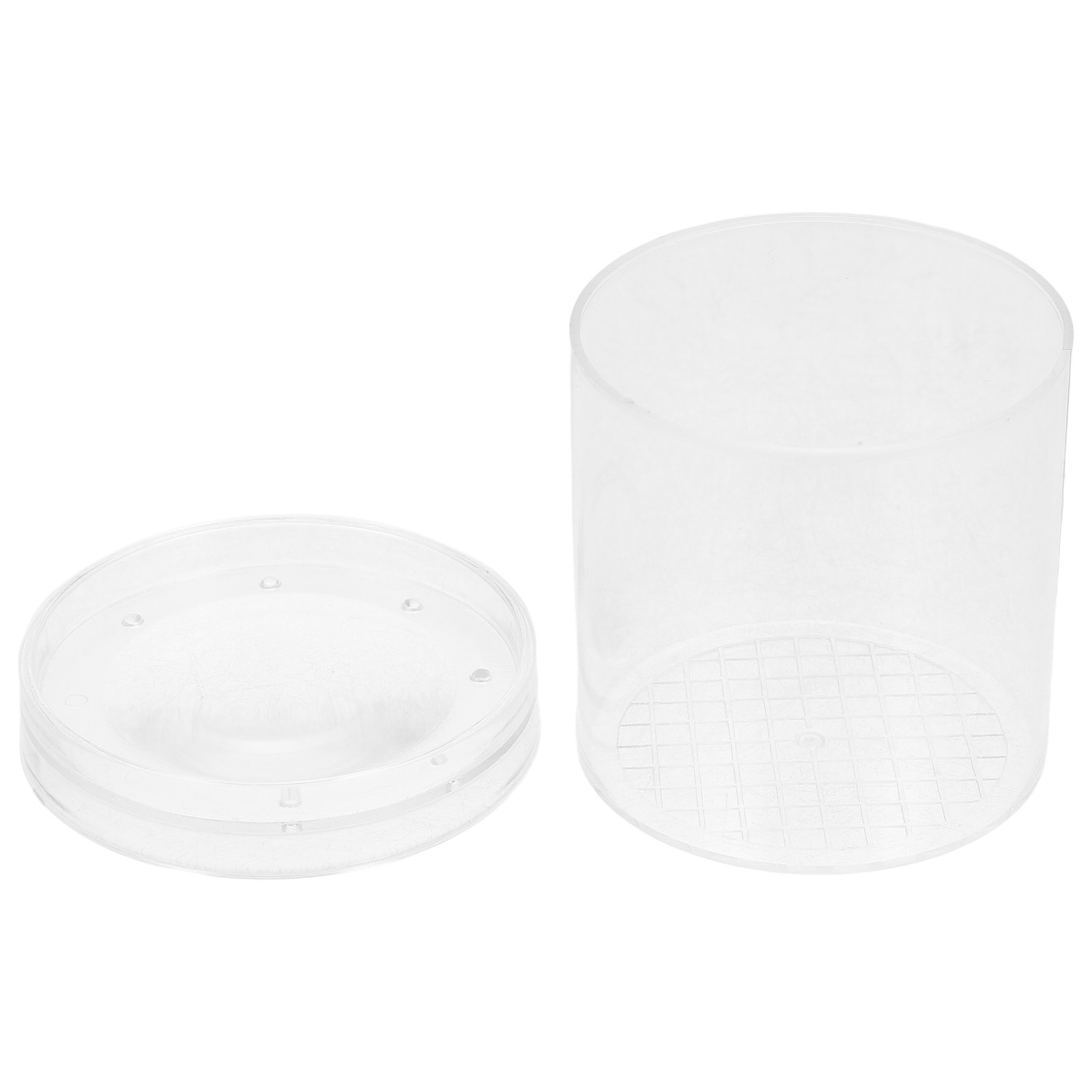 Science Toys - 3X Magnifying Insect Observation Box Kids