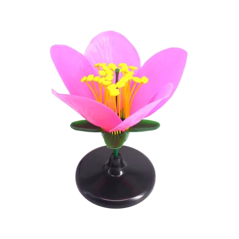 K9FC Realistic Plant Teaching  - Science Exhibition Models 评论和价格