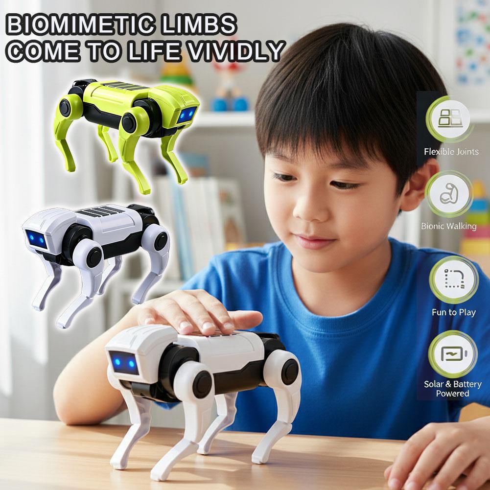 DIY Assembly RC Robot Dog Toy  - Science Project Robot 评论和价格