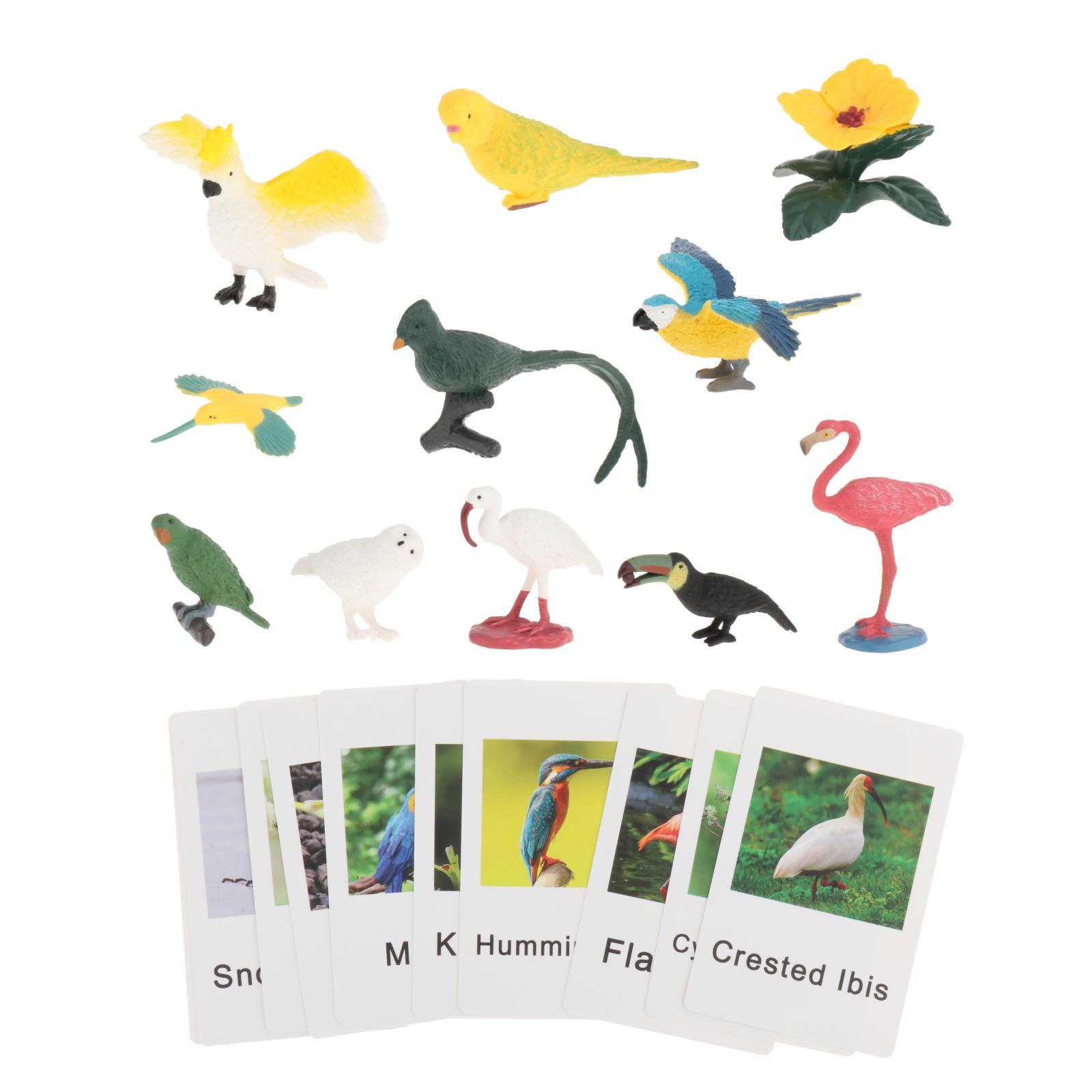 Montessori Animal Figures with - Science Nature 评论和价格