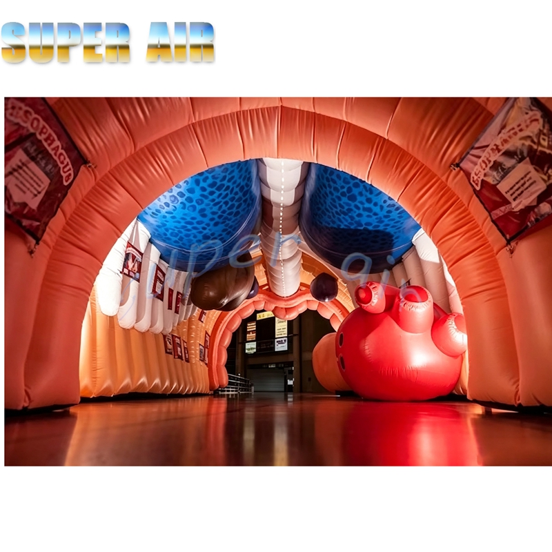 Giant Inflatable Human Body Mo - Science Exhibition Models 评论和价格