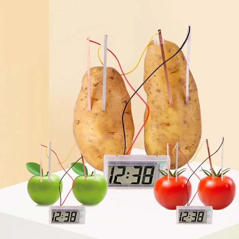 New Kid Montessori Toy Fruit P - Science Nature 评论和价格