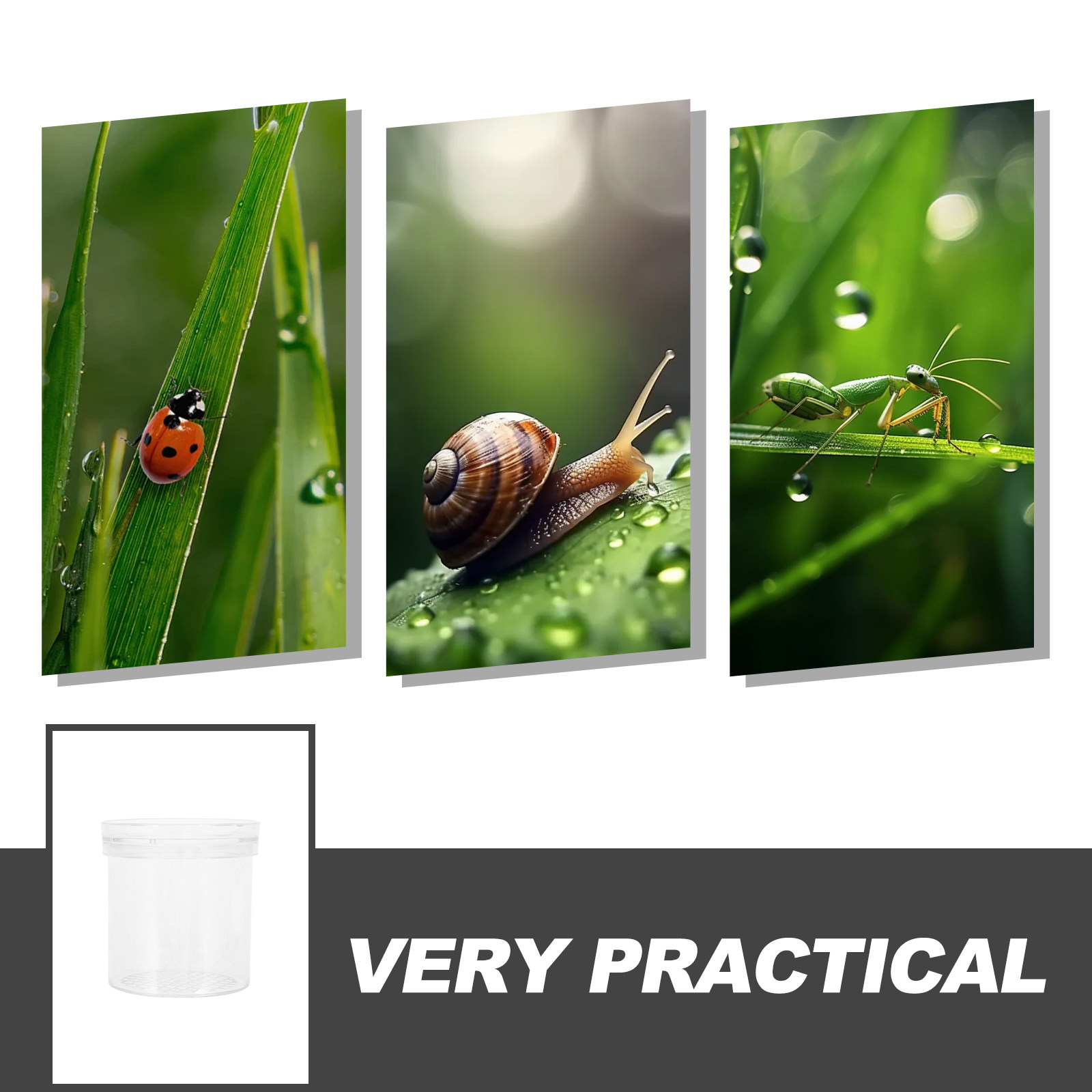 3X Magnifying Insect Observati - Science Toys 评论和价格