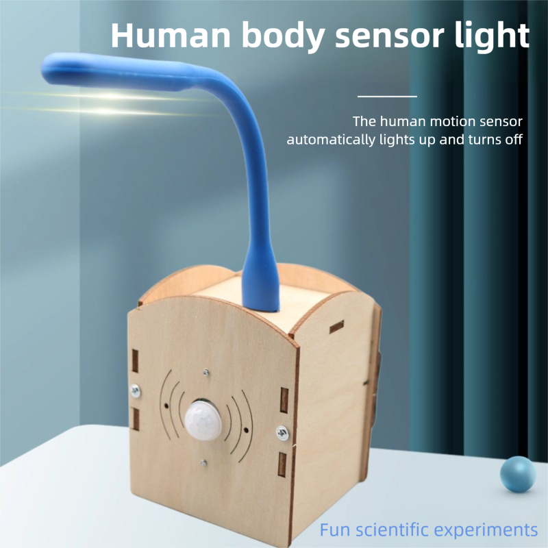 DIY Human-Sensing Night Light  - Science Nature 评论和价格