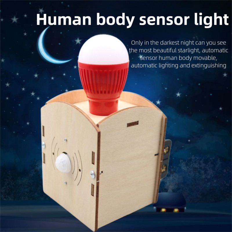 DIY Human-Sensing Night Light  - Science Nature 评论和价格