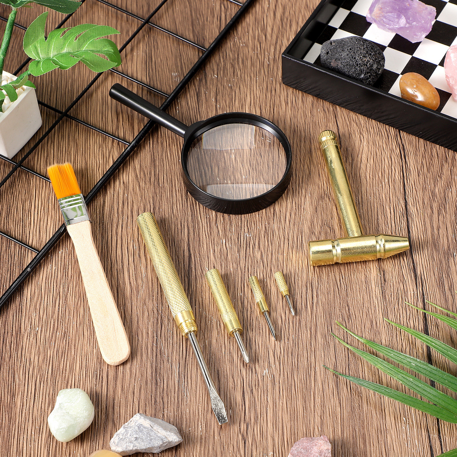 1Set Children Digging Tool Set - Science Toys 评论和价格