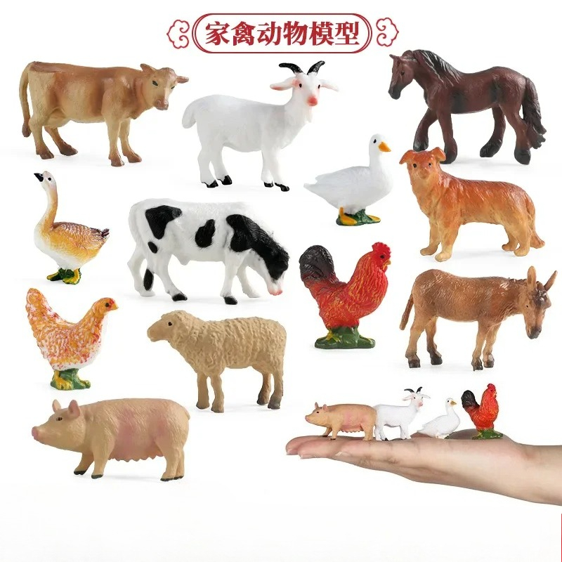 Education Teaching Tool Poultr - Science Toys 评论和价格