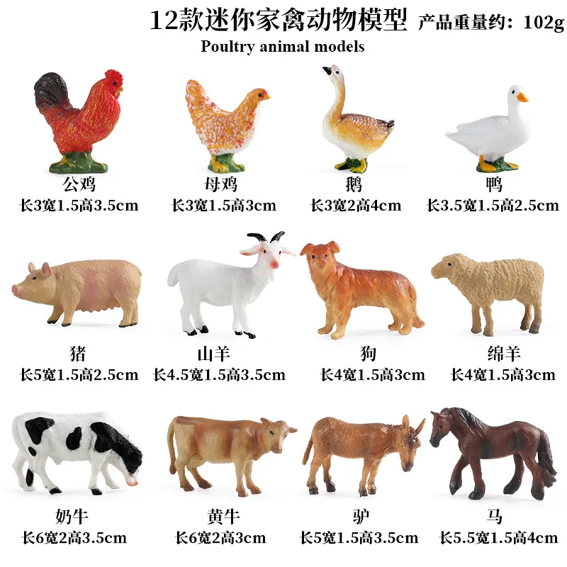Education Teaching Tool Poultr - Science Toys 评论和价格